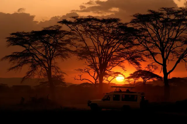 Sunset over the acacias at the end of a game drive