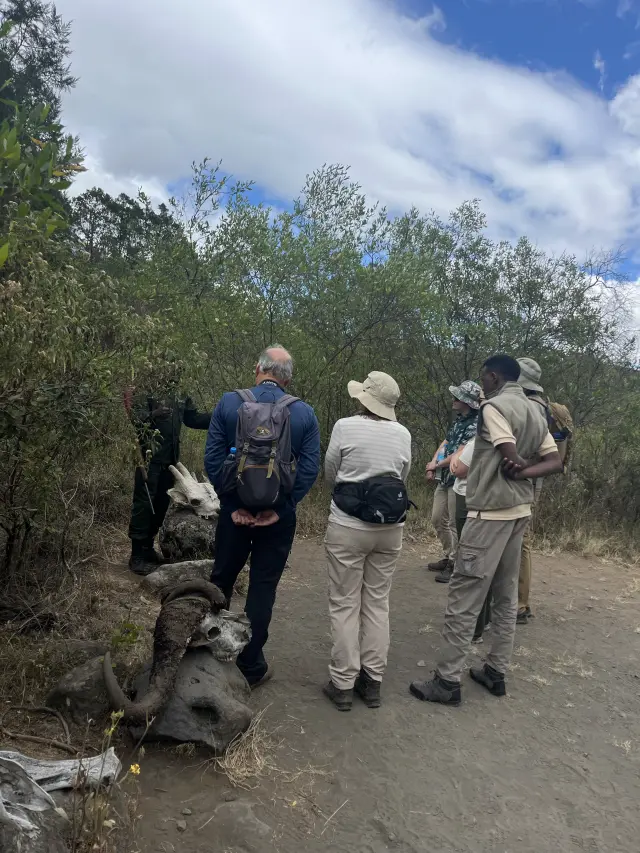 Setting off on a walking safari