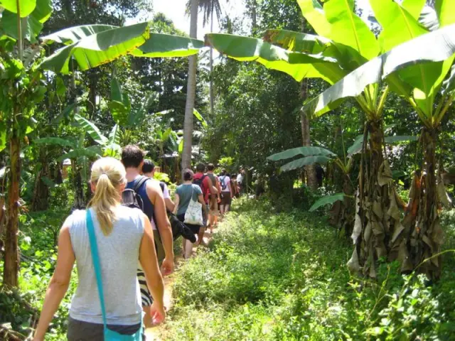 Village walk through the banana farms