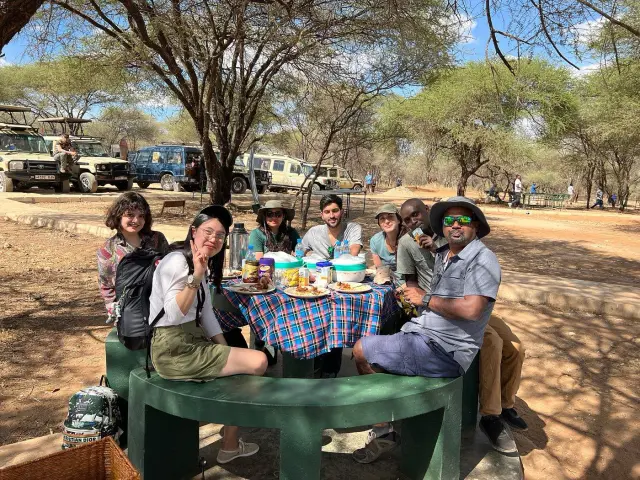 Picnic lunch in the shade