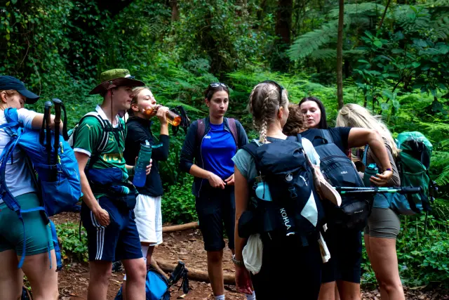 Through the rainforest zone