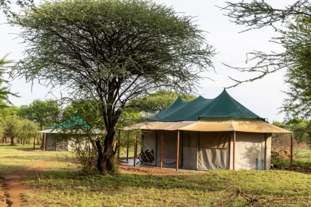 A tented camp in the bush