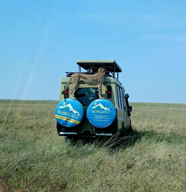 Out on the endless plains