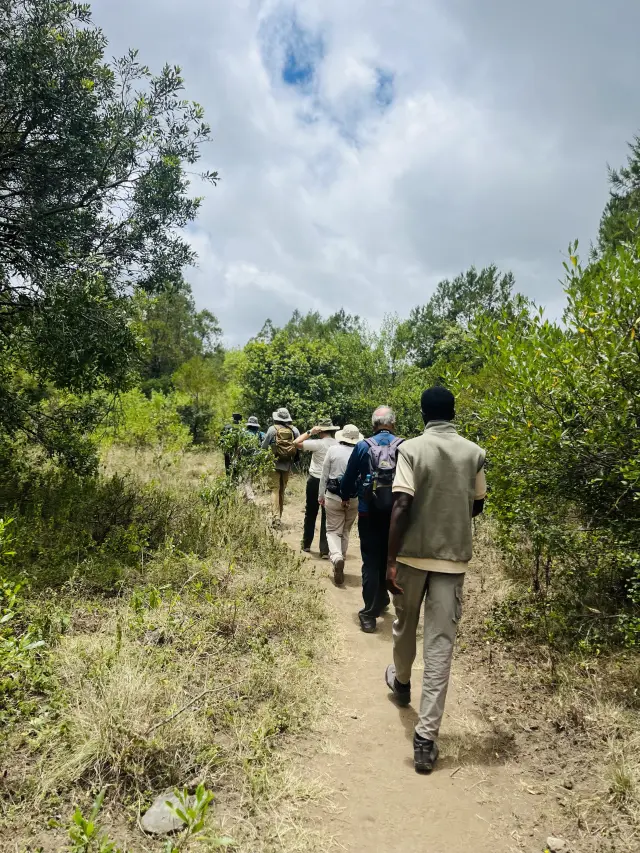 Following the trail