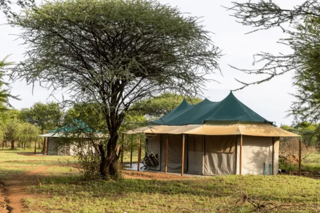 Safari tented camp