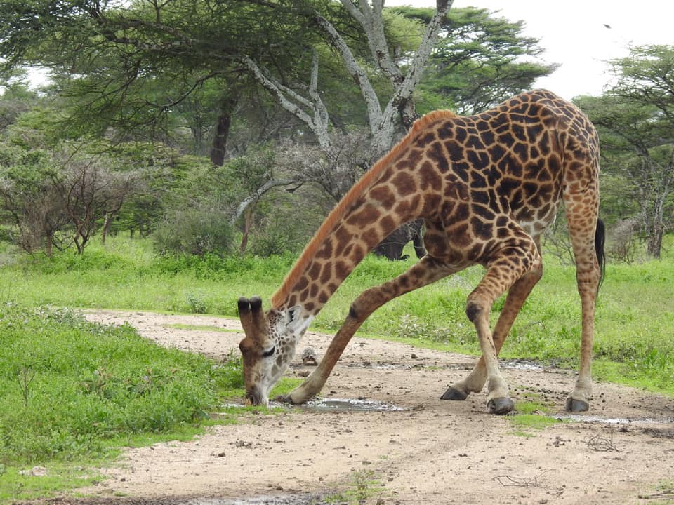 kili Hike Adventures