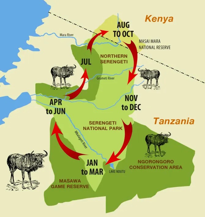 Map of Migration